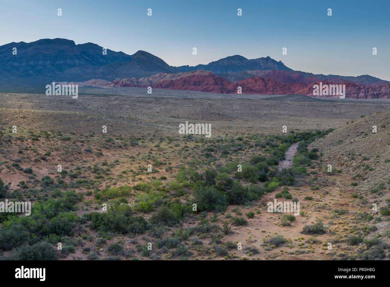 View of rock formations and flora in Red Rock Canyon National Recreation Area, Las Vegas, Nevada, United States of America, North America Stock Photo