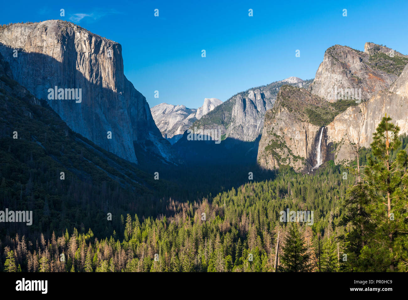 Yosemite Valley and Bridalveil Fall from Tunnel View, Yosemite National Park, UNESCO World Heritage Site, California, United States of America Stock Photo