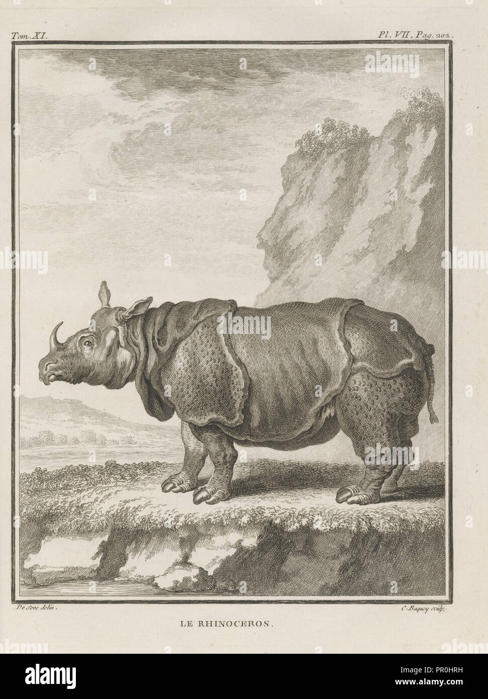 Le Rhinoceros, Histoire naturelle, générale et particulière: avec la description du cabinet de roi, Buffon, Georges Louis Stock Photo
