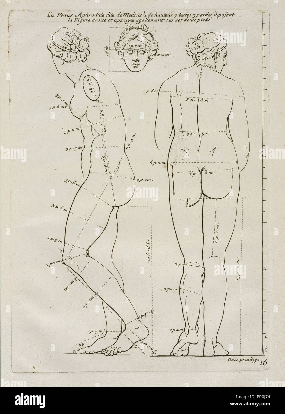 La Venus Aphrodide, Les proportions du corps humain: mesurées sur les plus belles figures de l'antiquité, Audran, Gérard, 1640 Stock Photo