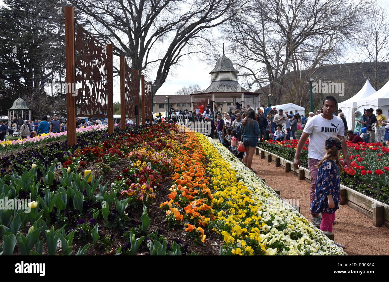 Bowral blooming hires stock photography and images Alamy
