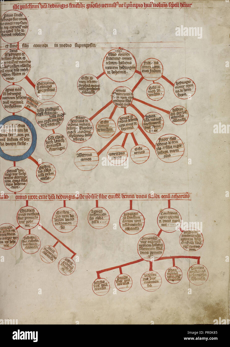 Genealogy; Unknown maker; Silesia, Poland; 1353; Tempera colors, colored washes, and ink on parchment; Leaf: 34.1 x 24.8 cm Stock Photo