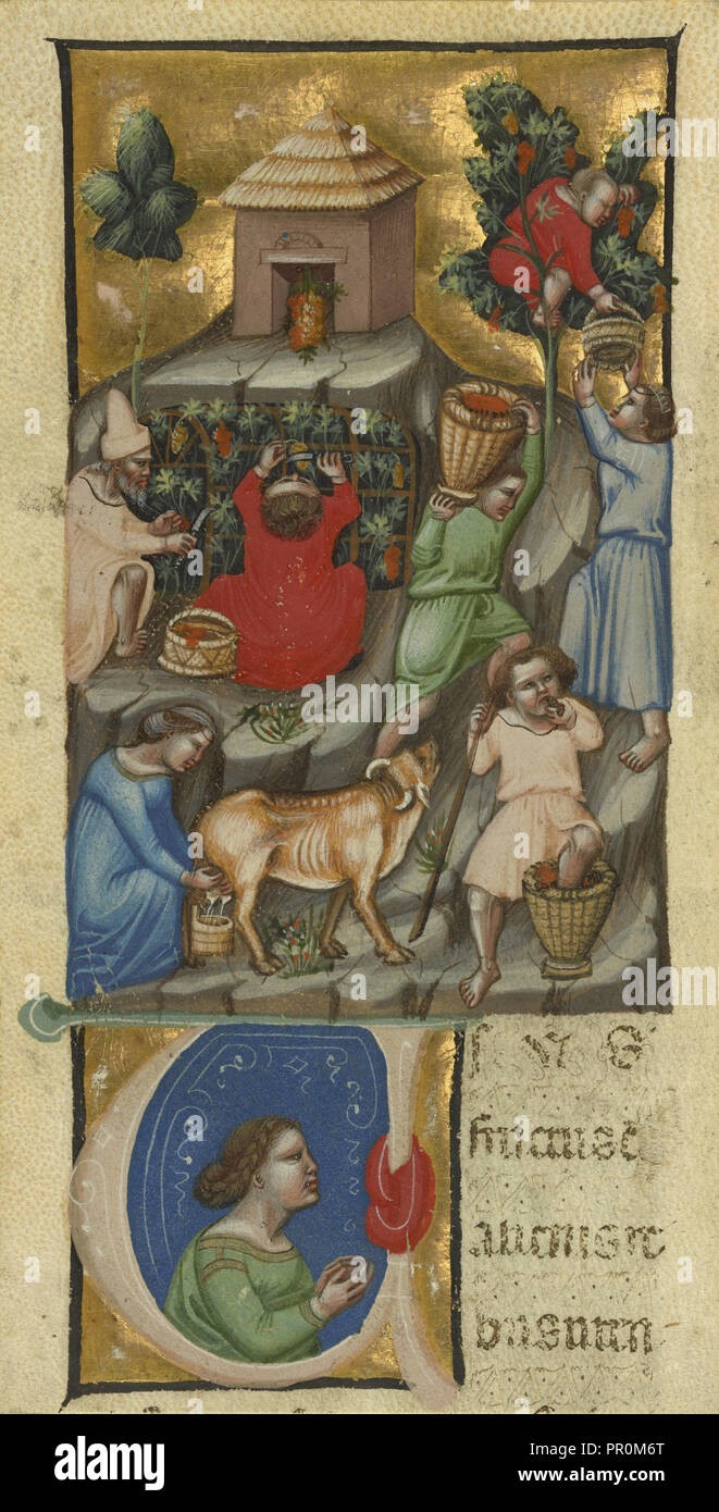 Harvest Scene; Initial U: A Figure; Attributed to the Illustratore, Andrea da Bologna?, Italian, active 2nd quarter of 14th Stock Photo
