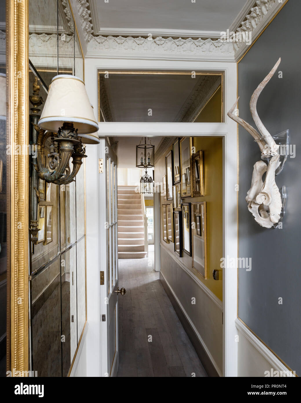 Wall mounted horns and gilt framed artwork in hallway Stock Photo