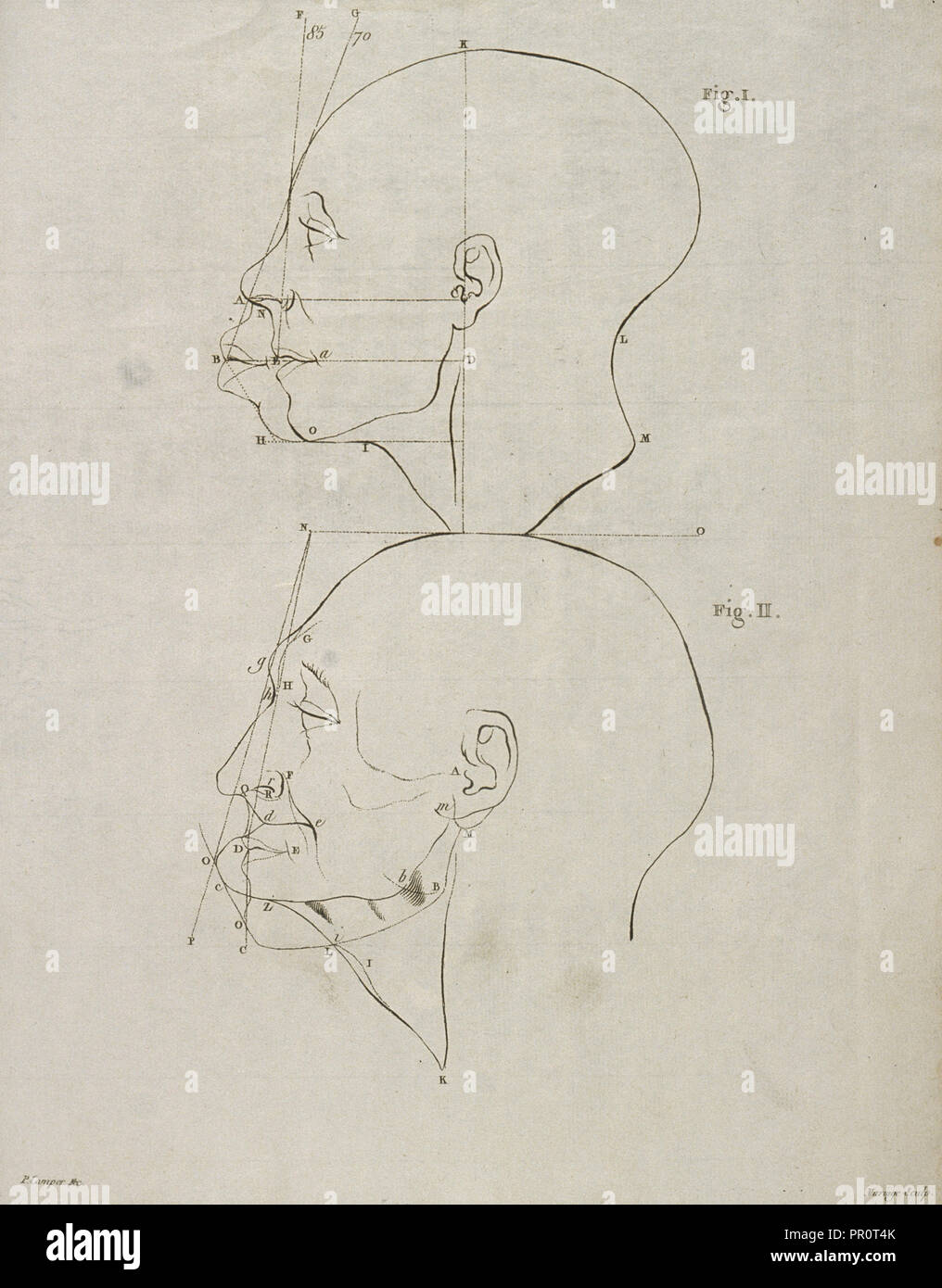 Talb Vi Tab. VI, Dissertation sur les variétés naturelles qui caractérisent la ...