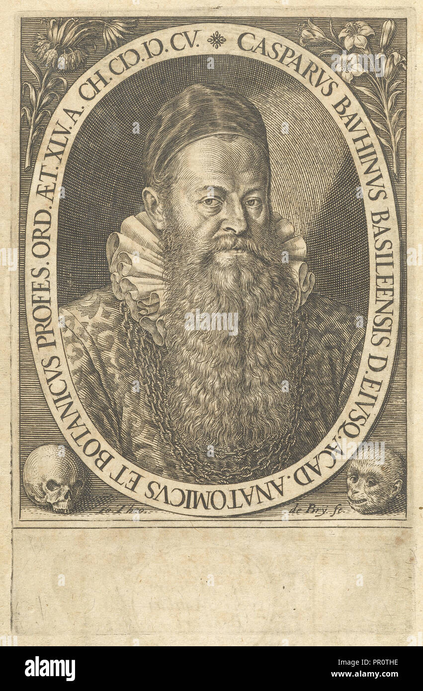 Johann bauhin hires stock photography and images Alamy