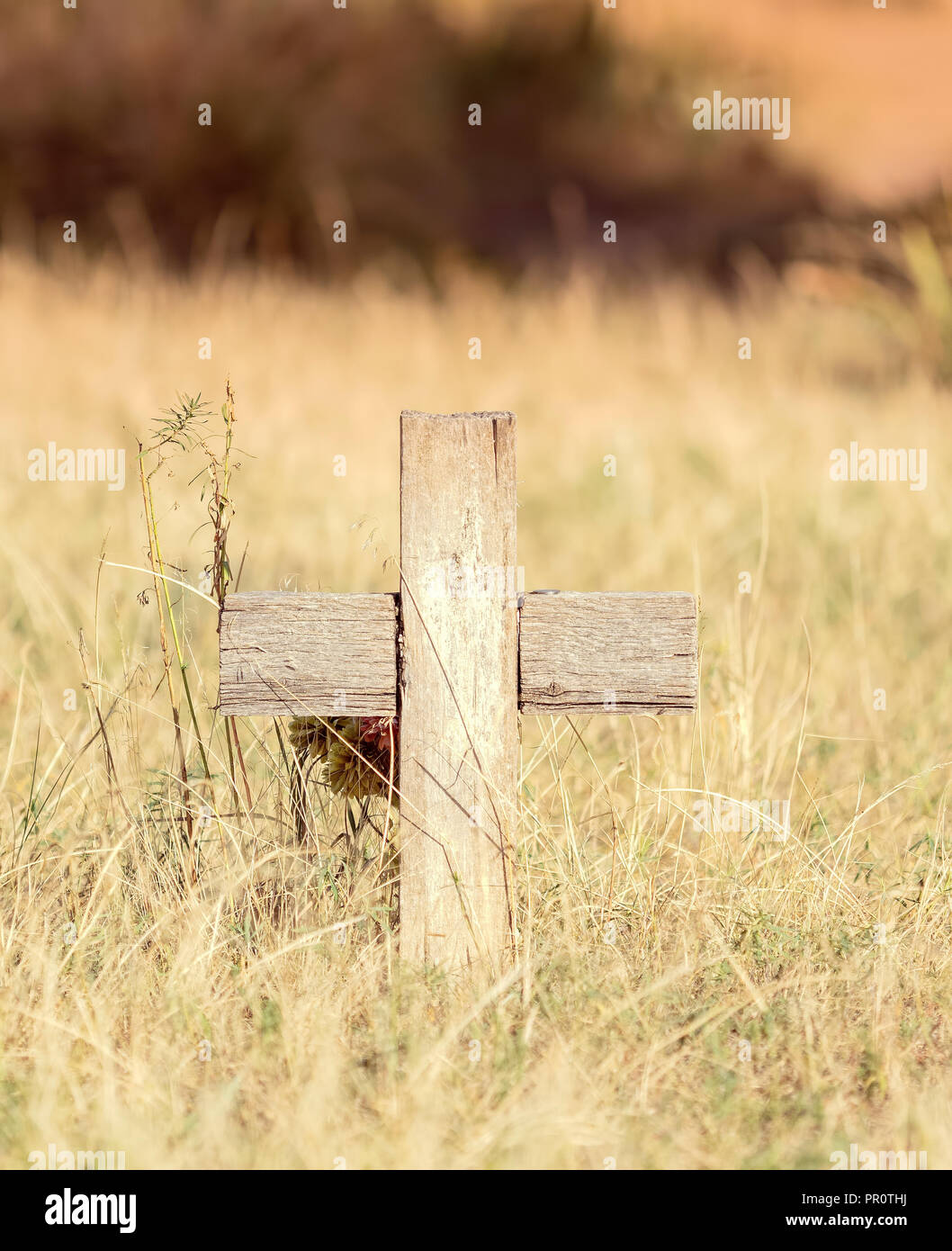 Old Wooden Cross in a Historic Cemetery with Beautiful Grassy & Tree