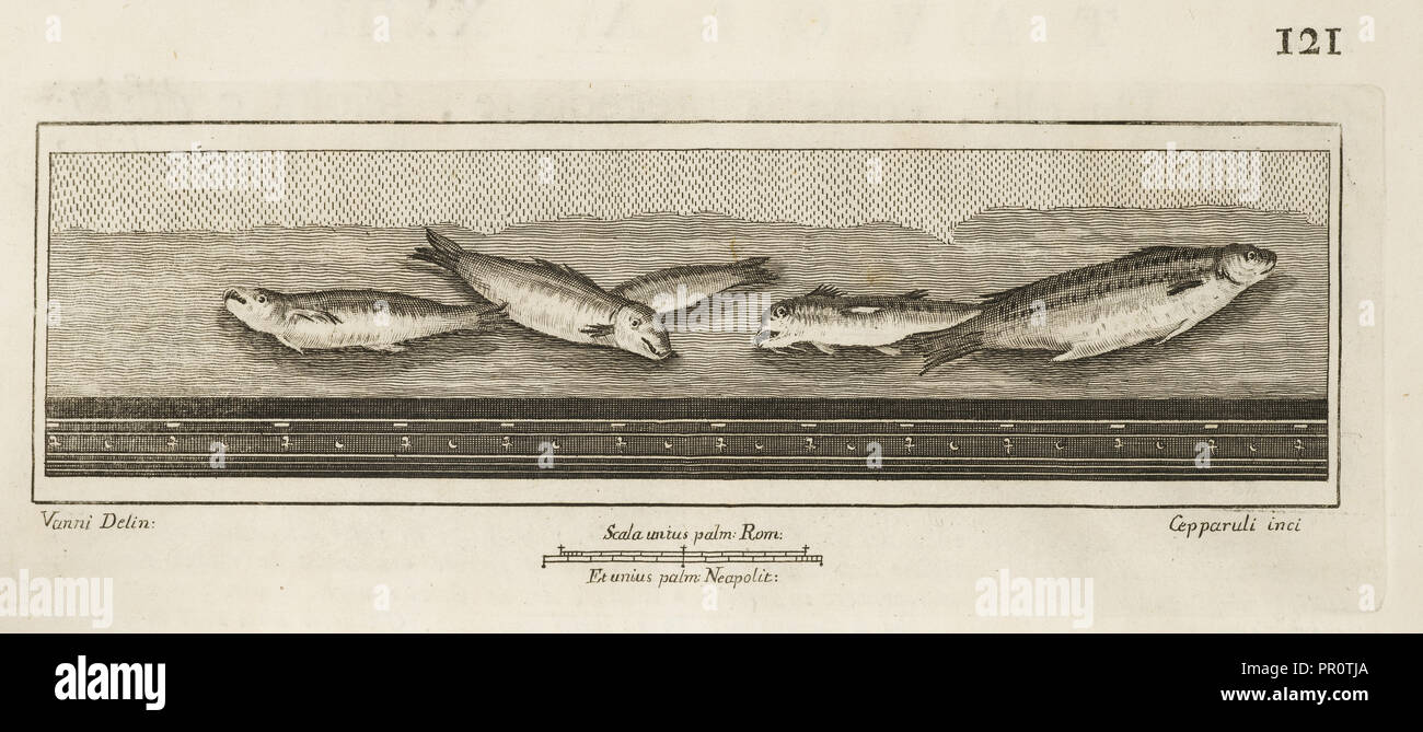 Tavola XXIII, Delle antichità di Ercolano, Baiardi, Ottavio Antonio, 1694-1764, Engraving, 1757-1792, Plate 23 Stock Photo