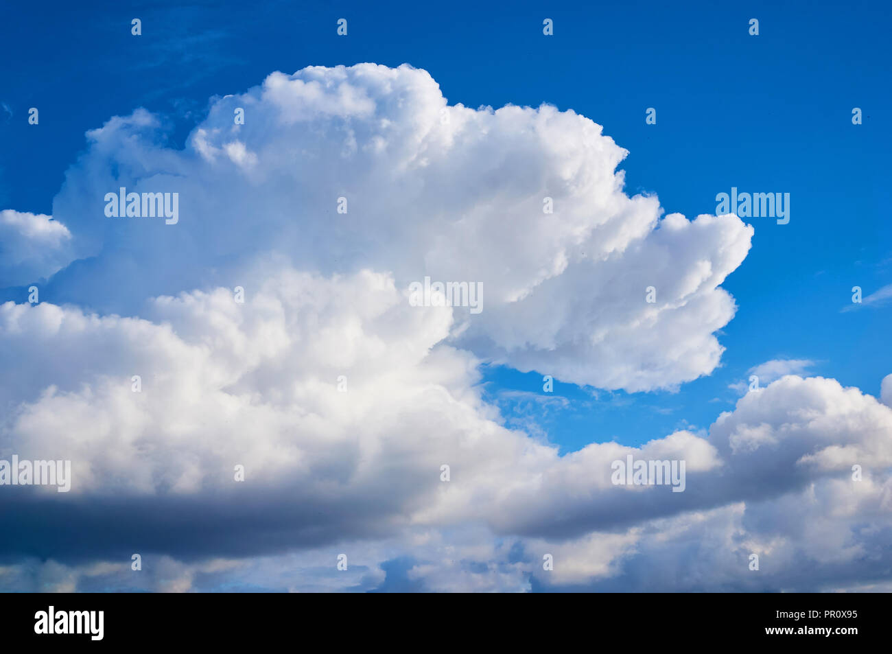 Beautiful blue sky with fleecy clouds. Abstract background. Stock Photo