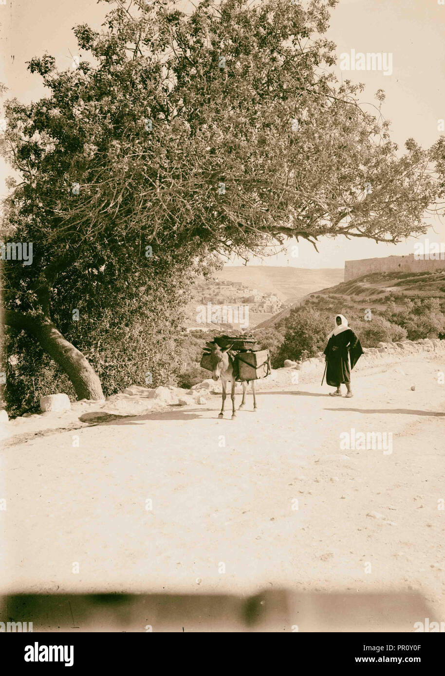 Valleys of Jehoshaphat and Hinnom Valley of Jehoshaphat Kedron, Kidron 1900, Jerusalem, Israel Stock Photo