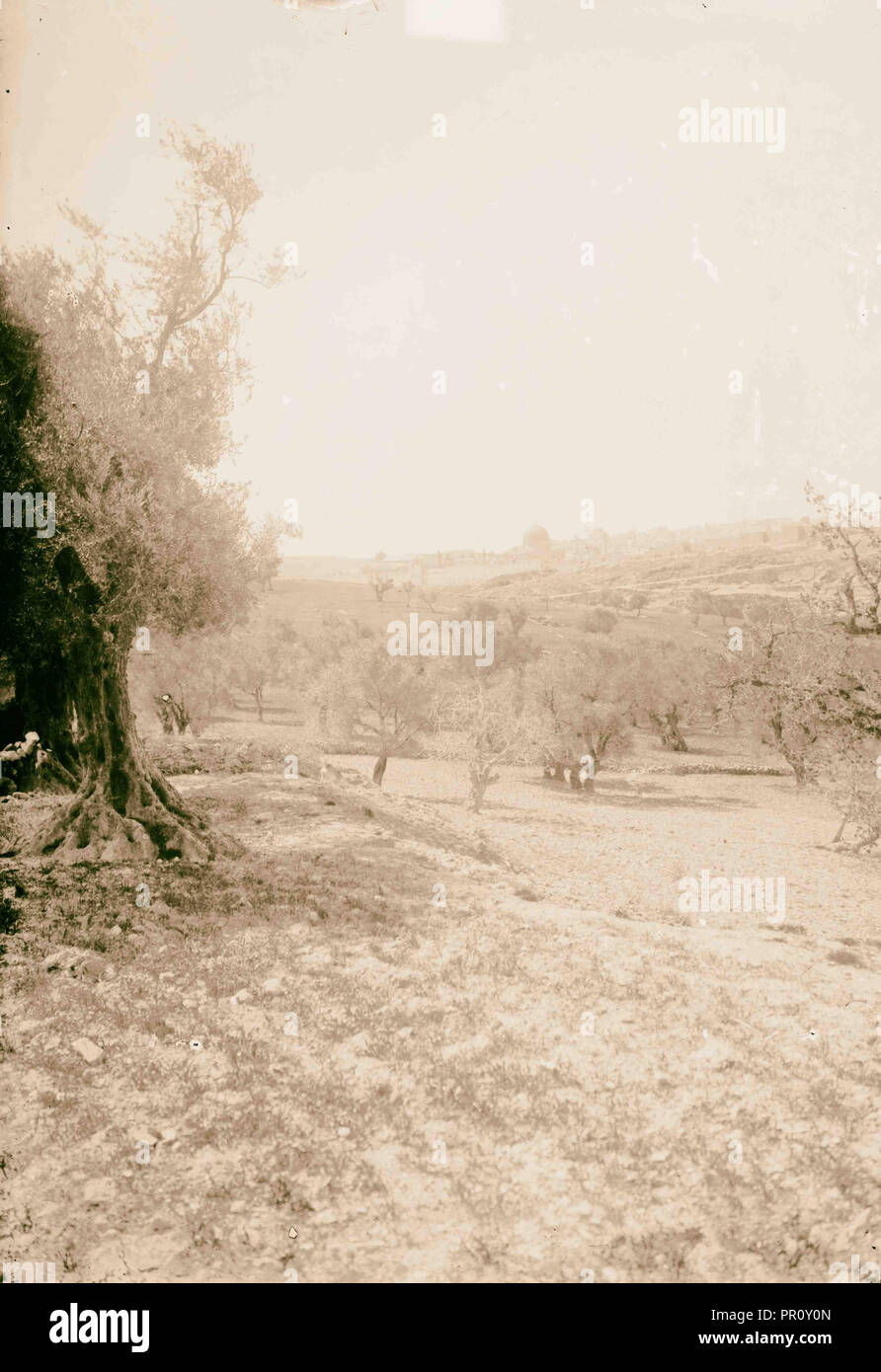 Valleys of Jehoshaphat and Hinnom Jerusalem from the Valley of Jehoshaphat. 1900, Jerusalem, Israel Stock Photo