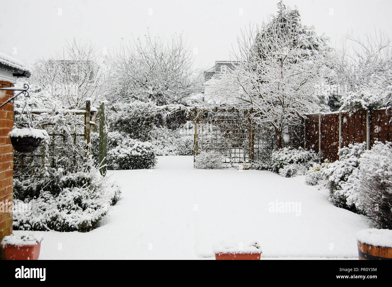 Snowy Garden scenes Stock Photo