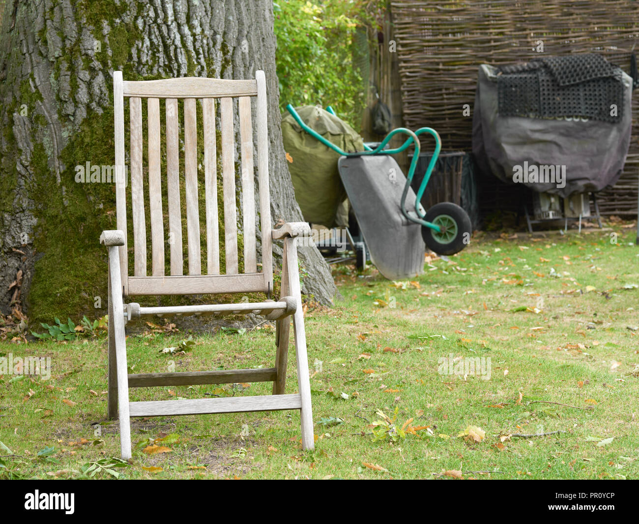 Iroko Wooden Adjustable Chair In Front Of An Oak Tree In An