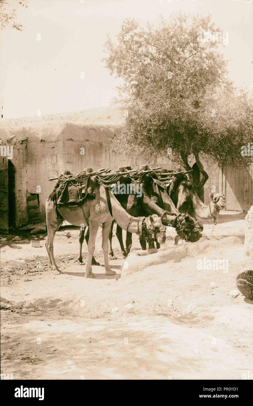 Damascus sham hi-res stock photography and images - Alamy