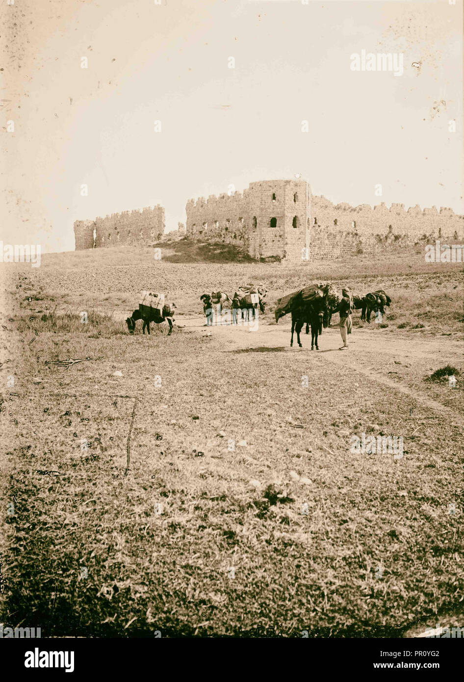 Along the sea coast Antipatris and old caravansary. 1900, Caravansaries, Ruins Israel Stock Photo