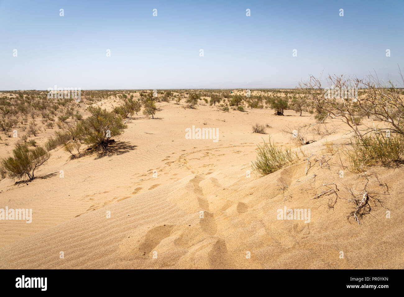 footsteps in the sand dunes in desert landscape in the middle east Stock Photo