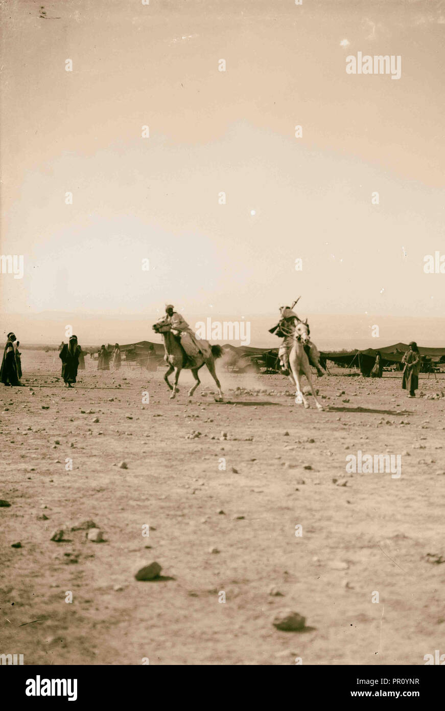 Bedouin wedding Mounted Bedouins chasing each other 1900, the Bedouin are a grouping of nomadic Arab peoples Stock Photo