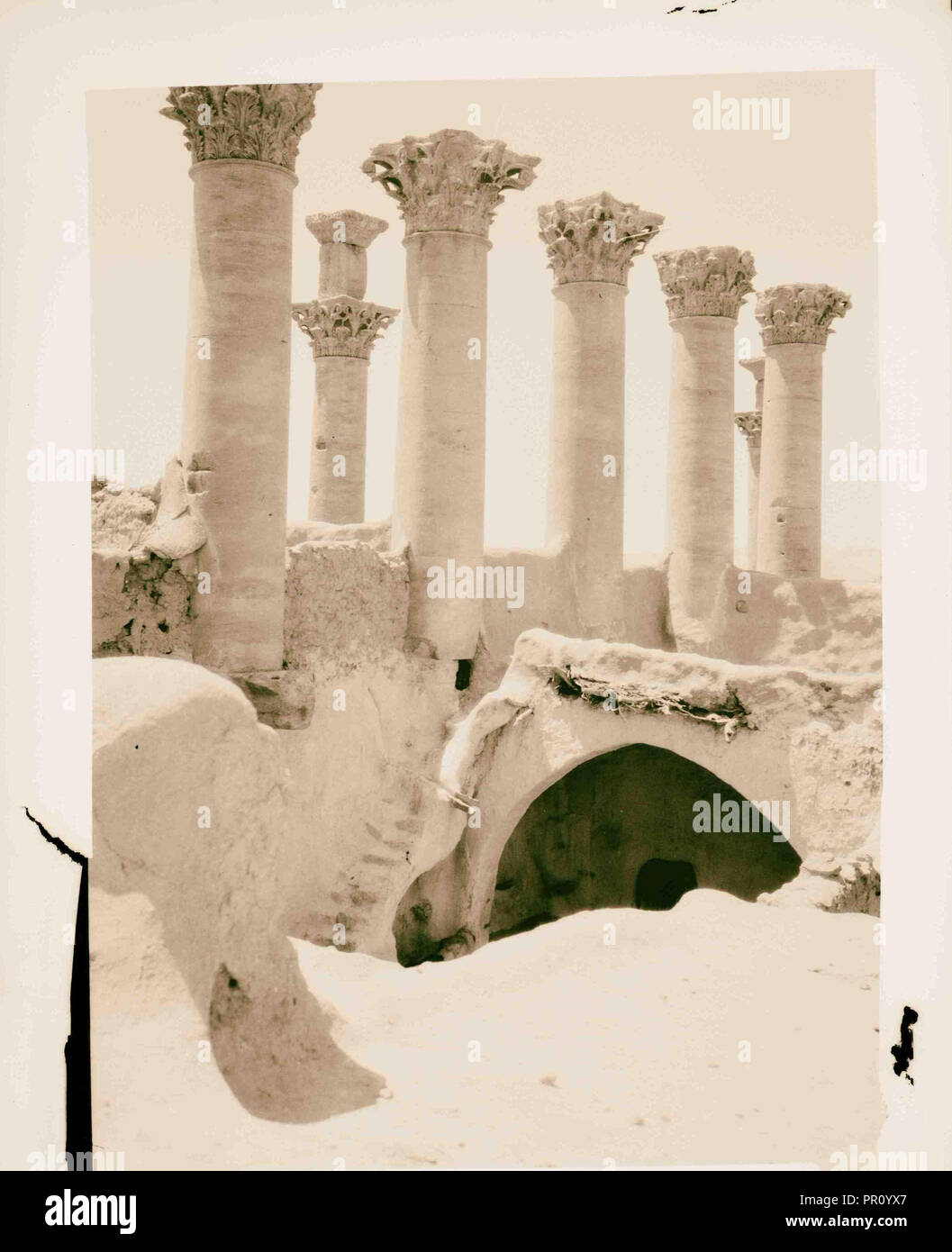 Palmyra (Tadmor). Pillars in Temple of the Sun. 1900, Syria, Tadmur ...