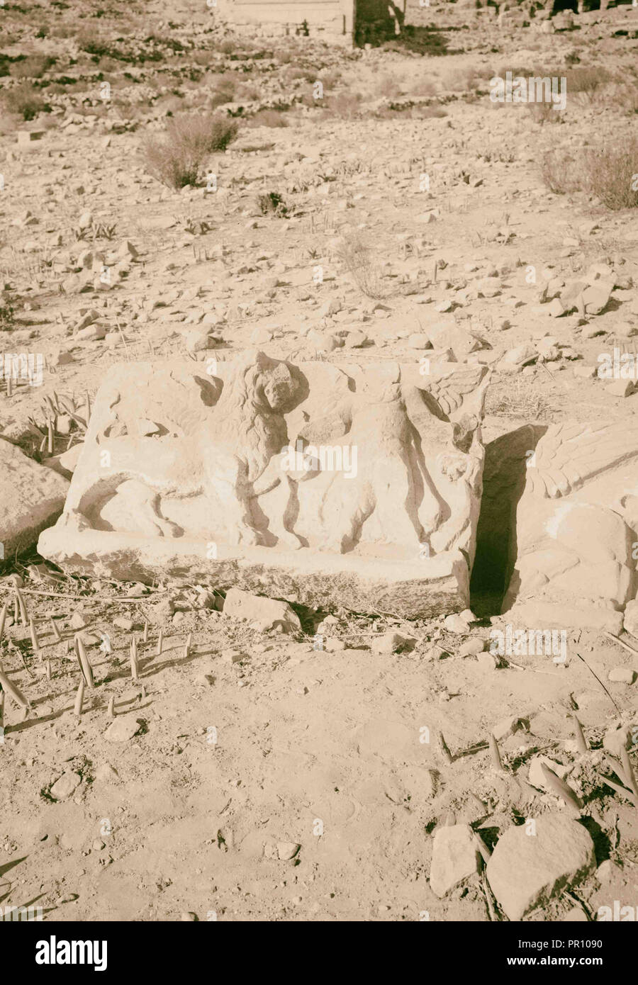 Petra in Transjordan. Carved stone. 1900, Jordan, Petra, Extinct city Stock Photo