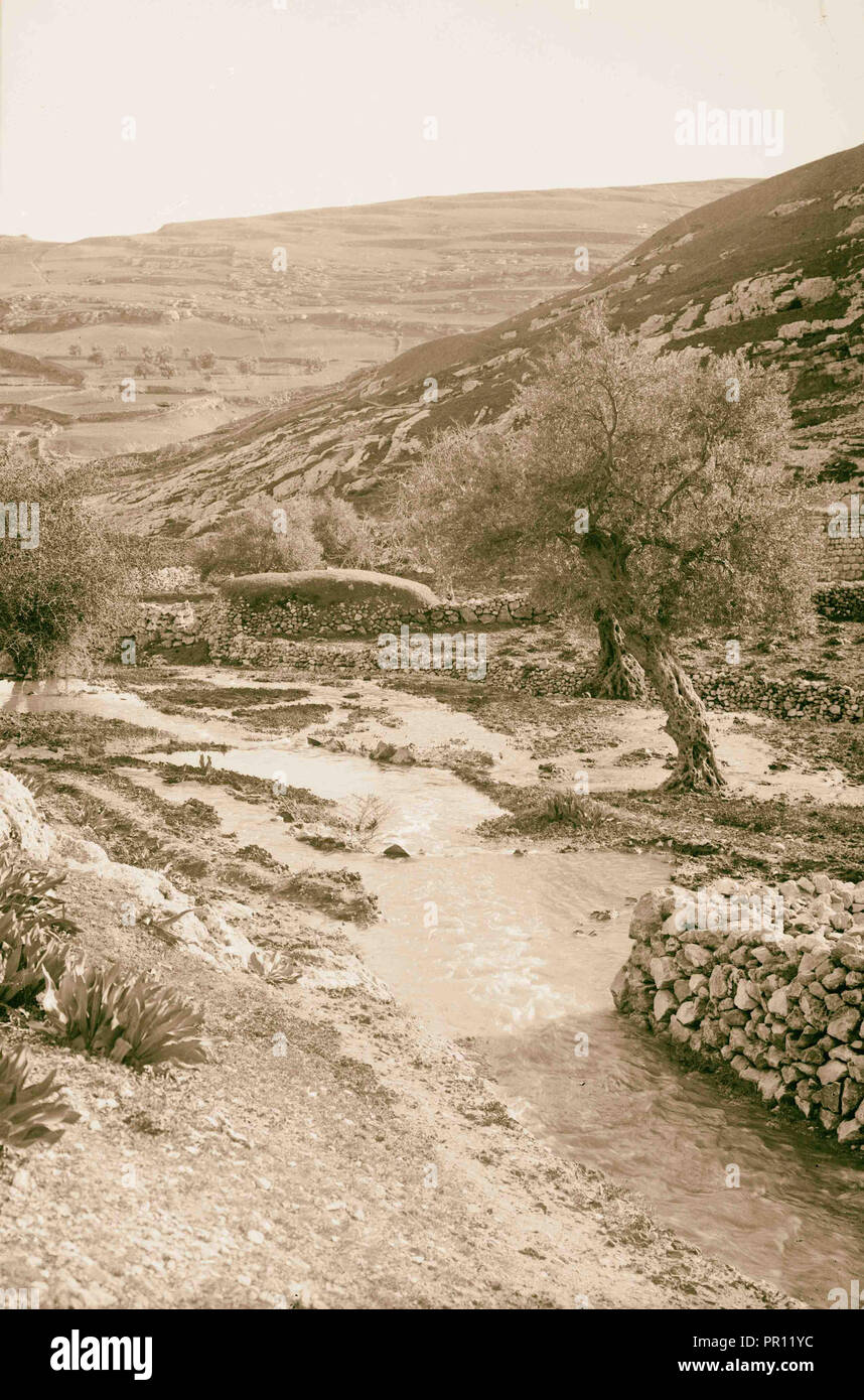 Brook kidron hires stock photography and images Alamy