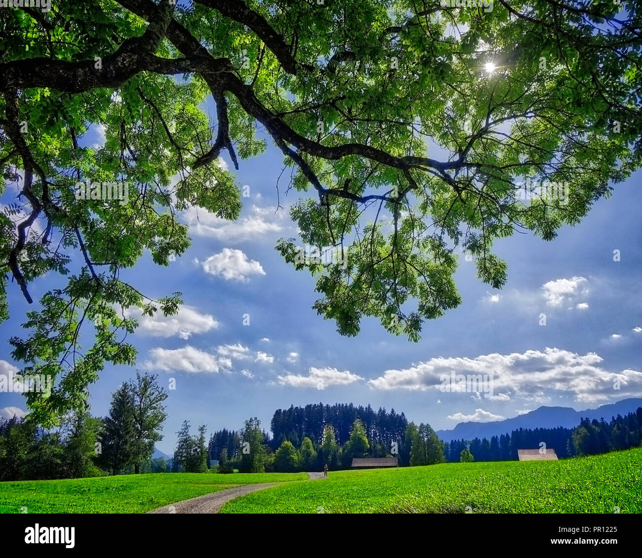 DE - BAVARIA: Tranquil landscape at Wackersberg near Bad Toelz (HDR-Image) Stock Photo