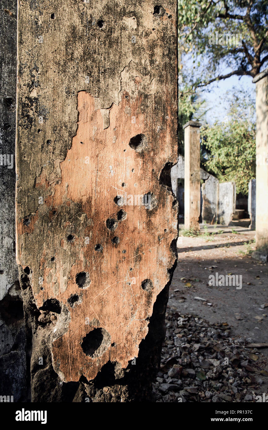 Old concrete building, covered in holes from machine gun fire from Sri Lankan civil war in Jaffna, Sri Lanka Stock Photo
