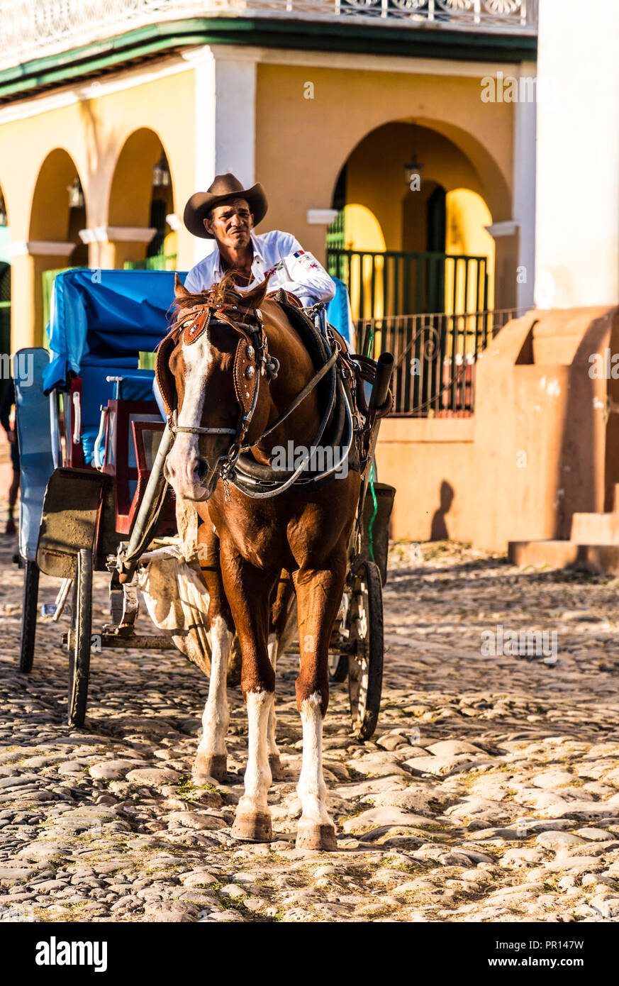 A traditional horse taxi carriage in Trinidad, Cuba, West Indies, Central America Stock Photo