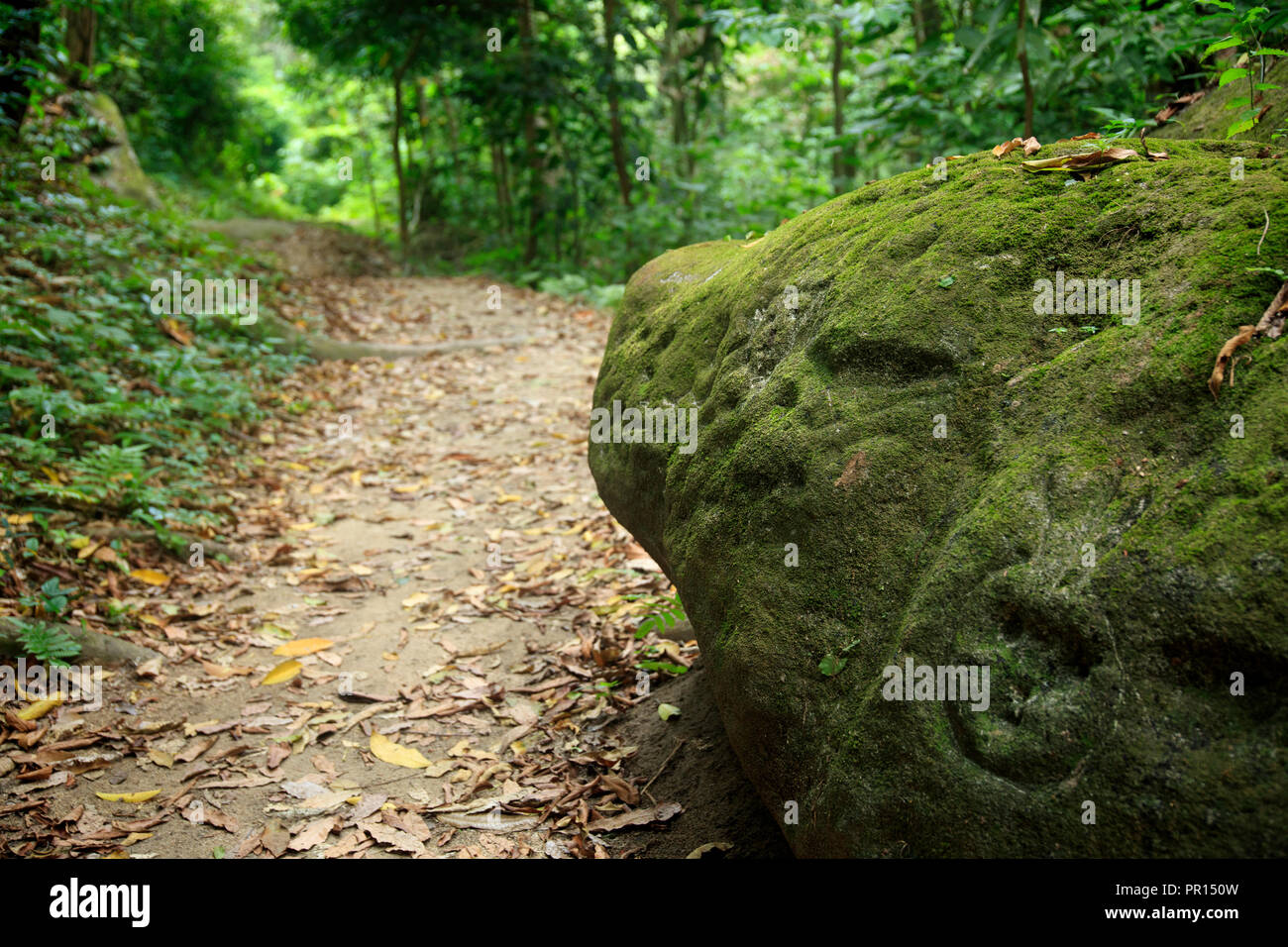 A carved petroglyph on a rock on the hiking trail to Pueblito in Tayrona National Park, Magdalena State, Colombia, South America Stock Photo