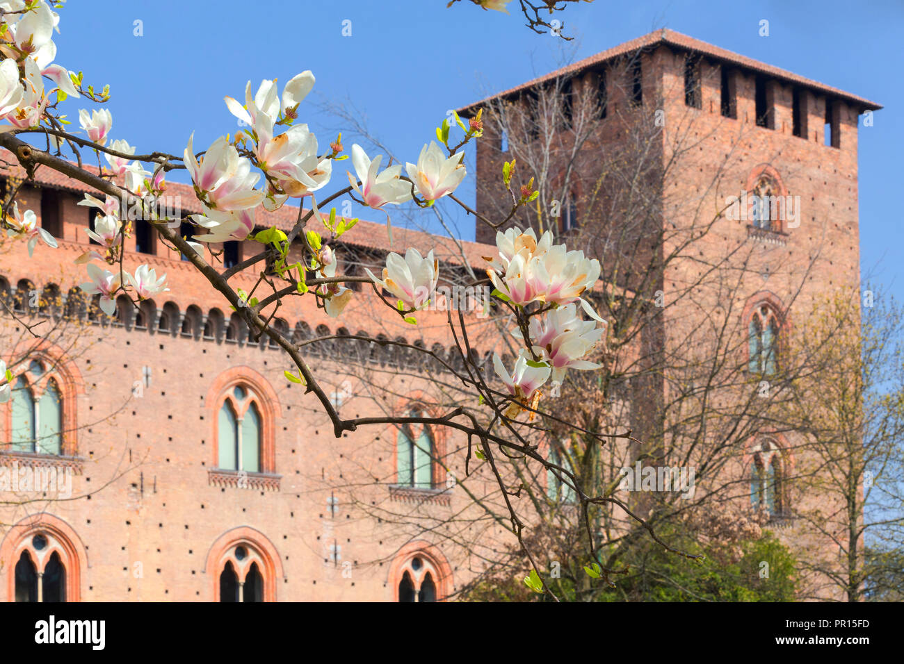 Civic tower of pavia hi-res stock photography and images - Alamy