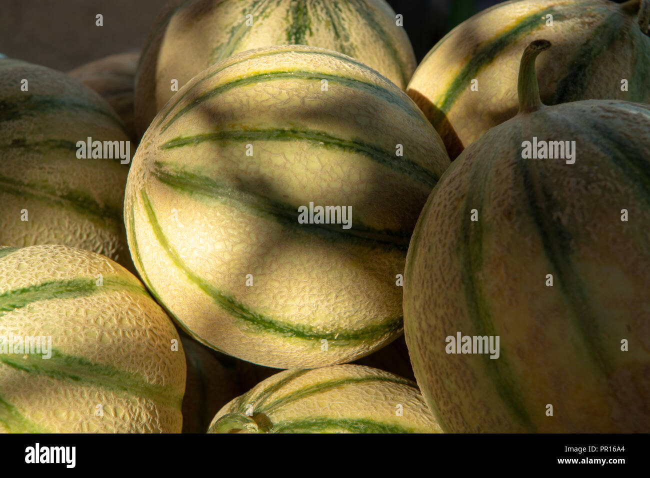 Cavaillon melon hires stock photography and images Alamy