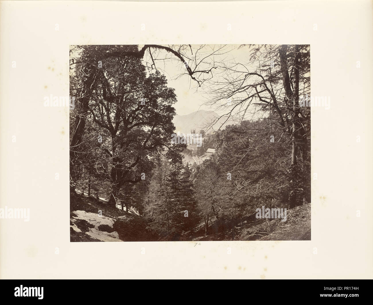 Simla; Pic-nic sic amongst the Trees at Annandale; Samuel Bourne, English, 1834 - 1912, Simla, India; 1868; Albumen silver Stock Photo