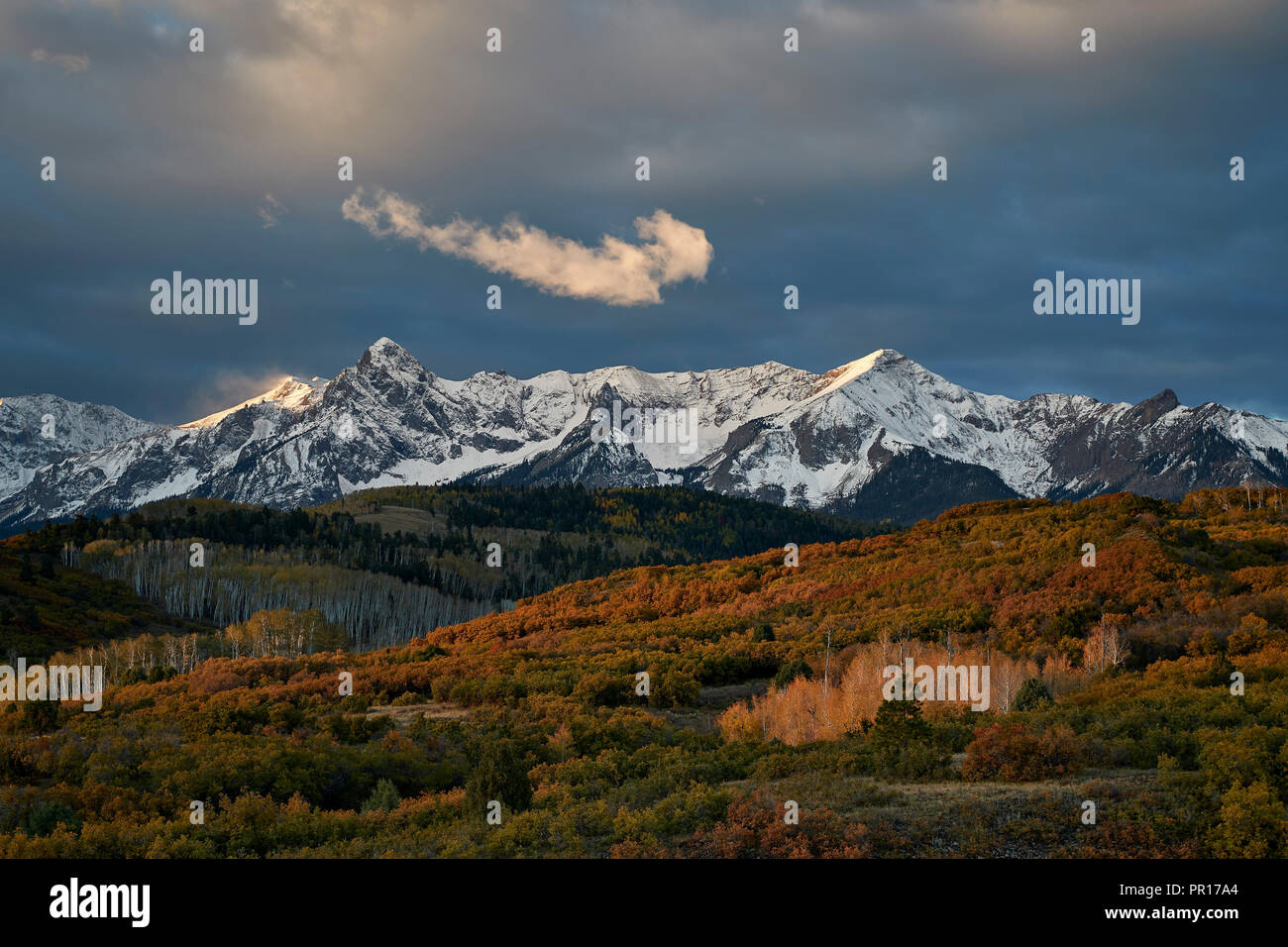Snow-covered Sneffels Range in the fall, Uncompahgre National Forest, Colorado, United States of America, North America Stock Photo