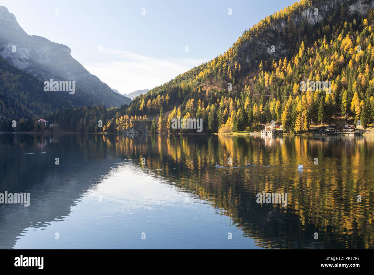 Lago di Alleghe in the Dolomites, Belluno, Veneto, Italy, Europe Stock Photo