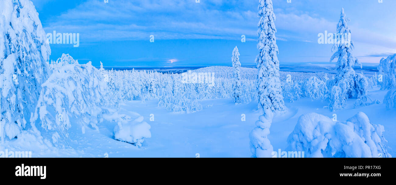 Snow covered winter landscape, Lapland, Pallas-Yllastunturi National Park, Lapland, Finland, Europe Stock Photo