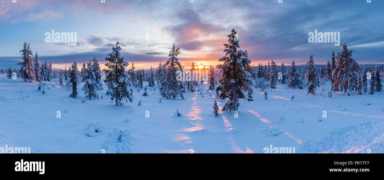 Snow covered winter landscape at sunrise, Lapland, Pallas-Yllastunturi National Park, Lapland, Finland, Europe Stock Photo