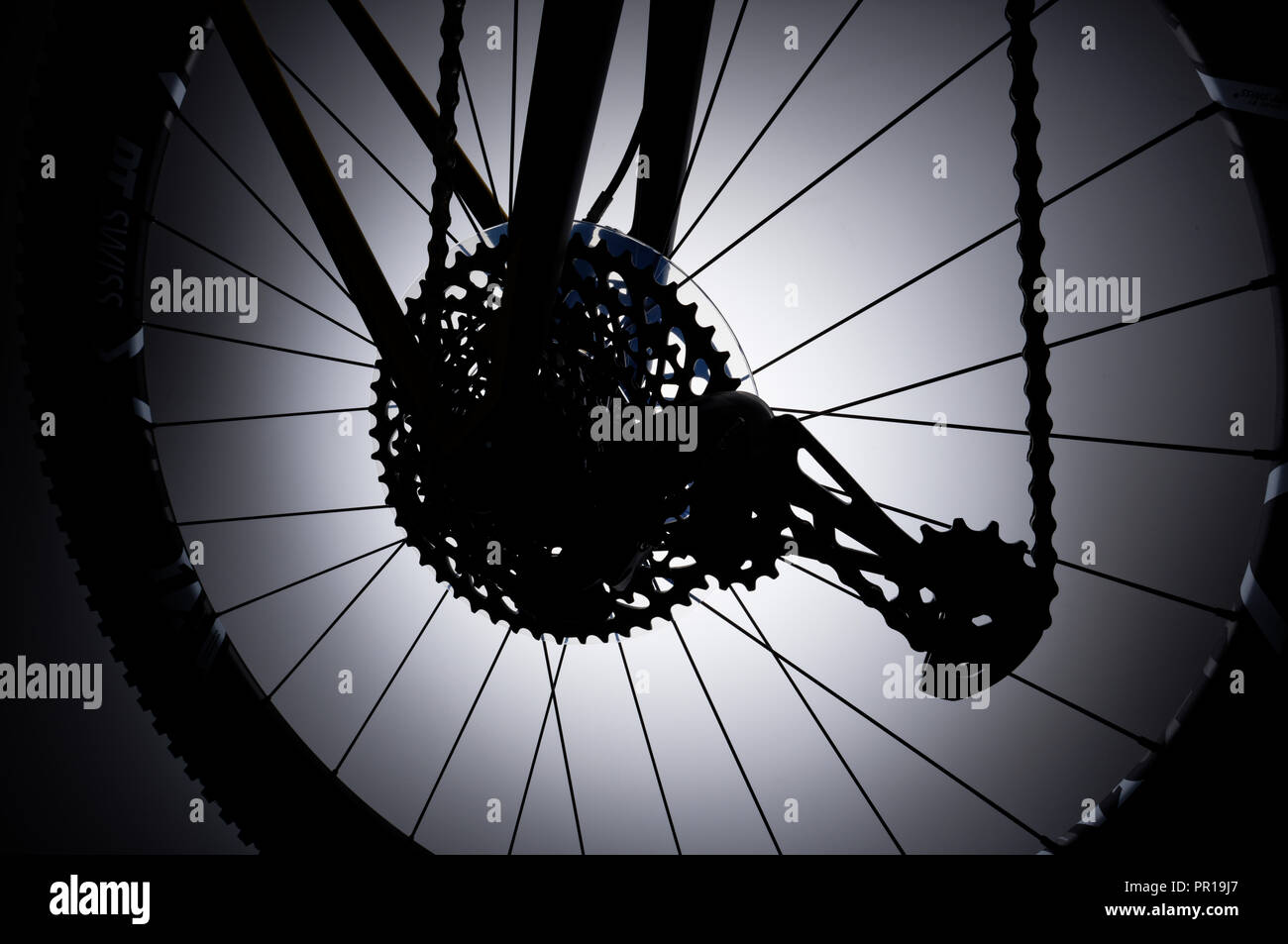 Rear wheel of a mountain bike with rear derailleur, chain and gear cogs