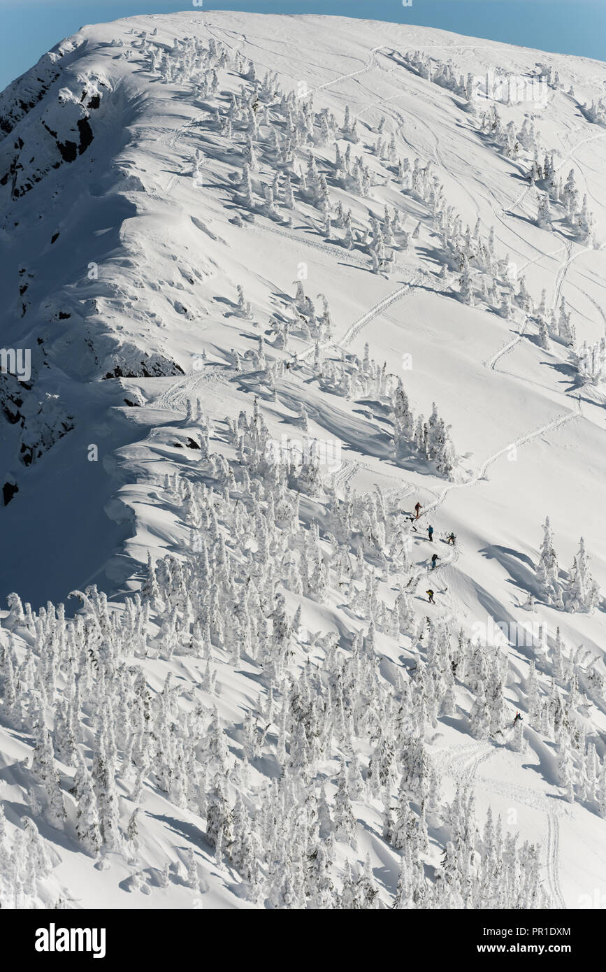 Group of skiers walking on a snowy mountain Stock Photo - Alamy