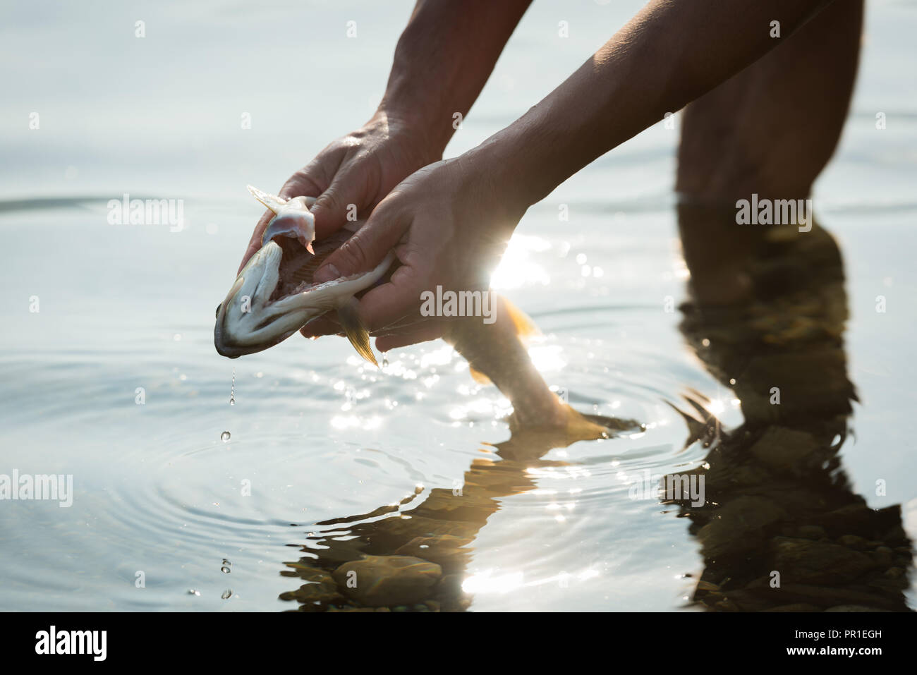 Fisherman holding a fish near riverside Stock Photo