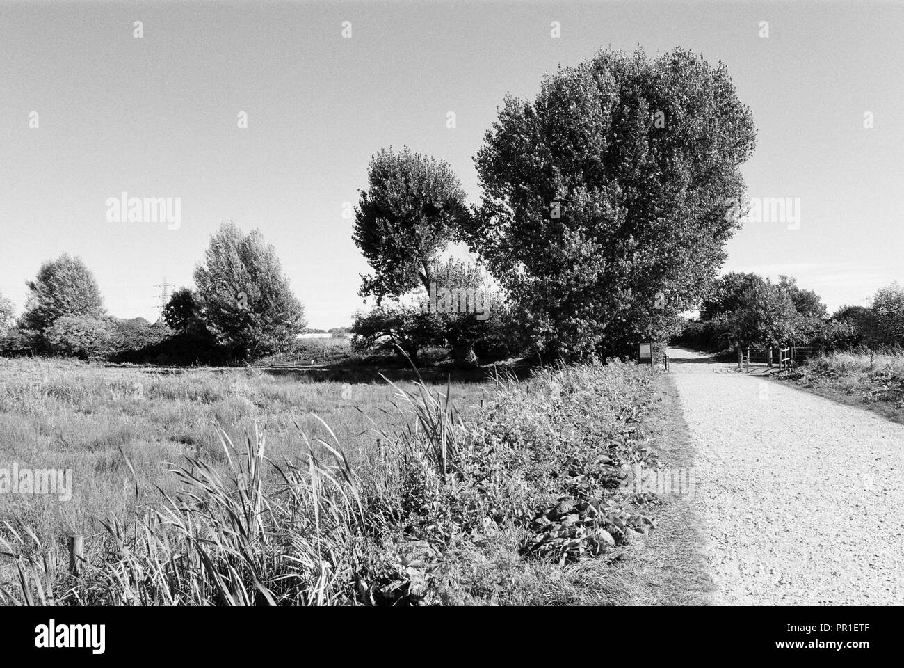 Footpath across Walthamstow Marshes, North London UK Stock Photo