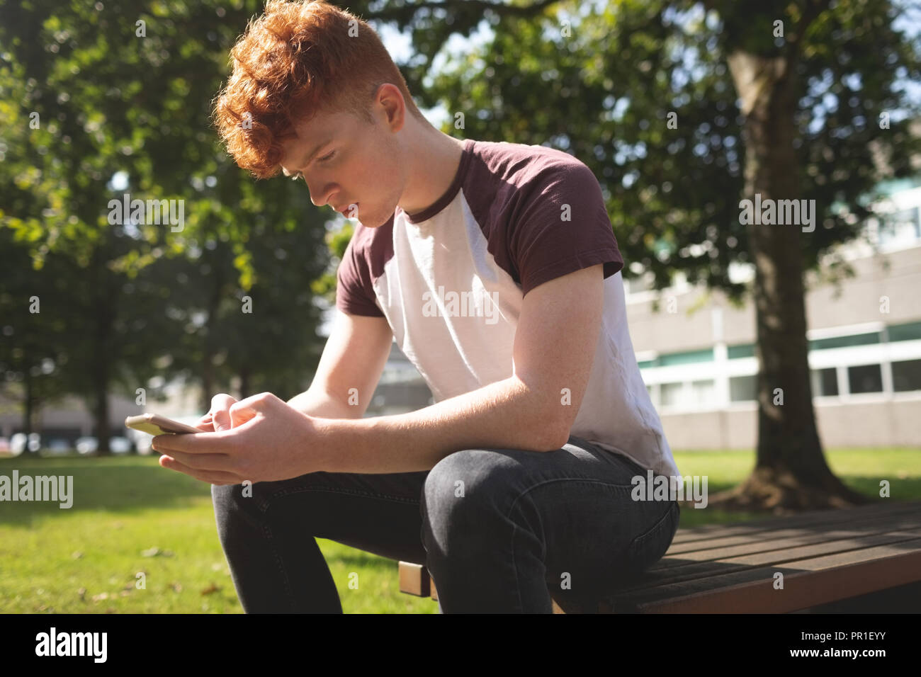 College student using mobile phone Stock Photo
