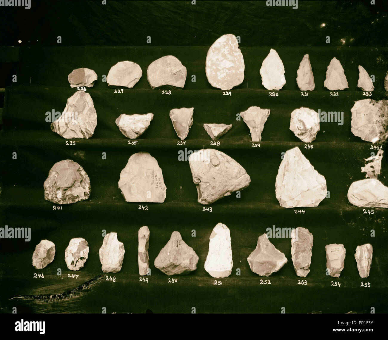 Collection of flints, Middle East Stock Photo