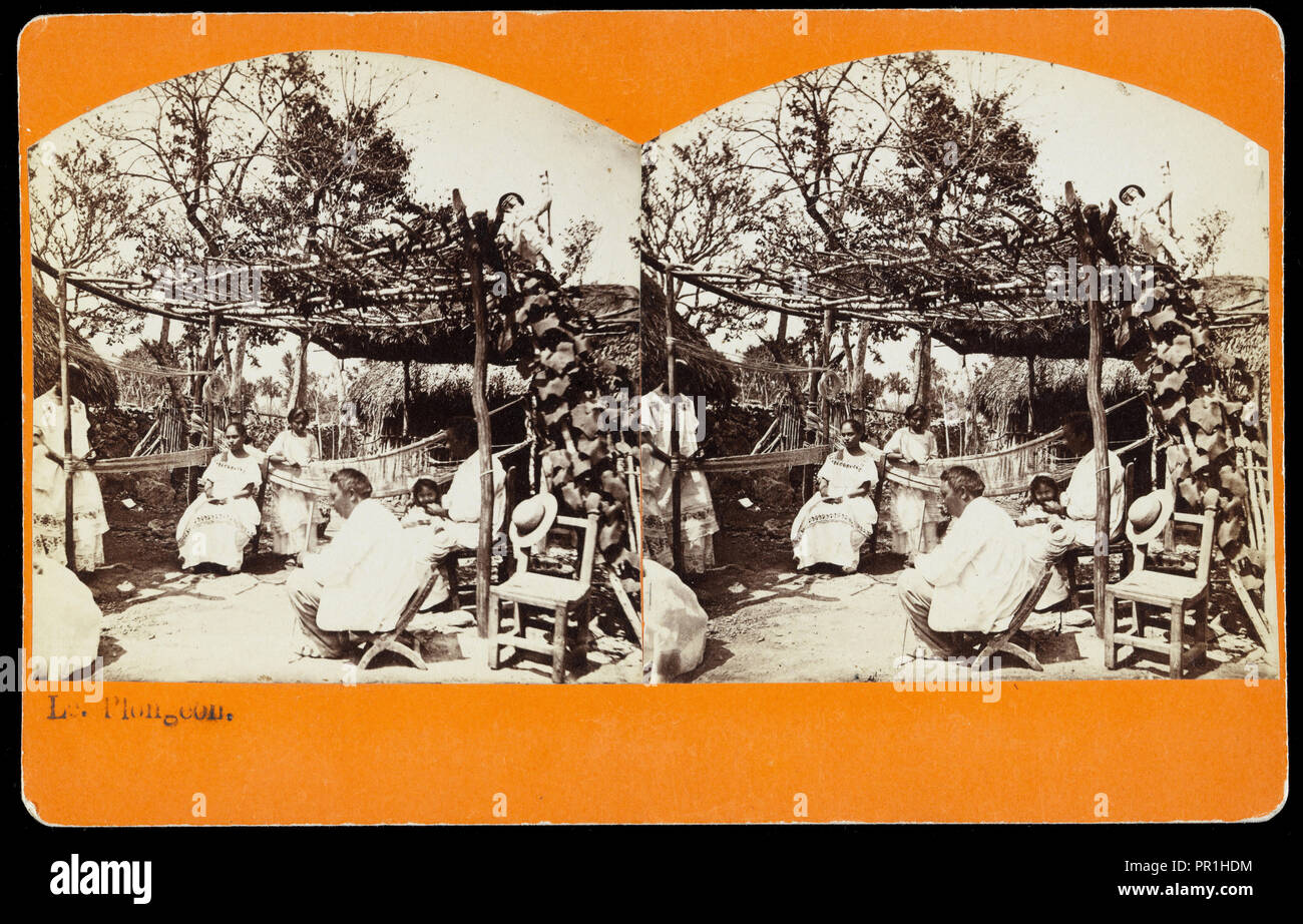 Weaving hammocks, Augustus and Alice Dixon Le Plongeon papers, 1763-1937, bulk 1860-1910, Le Plongeon, Augustus, 1826-1908 Stock Photo