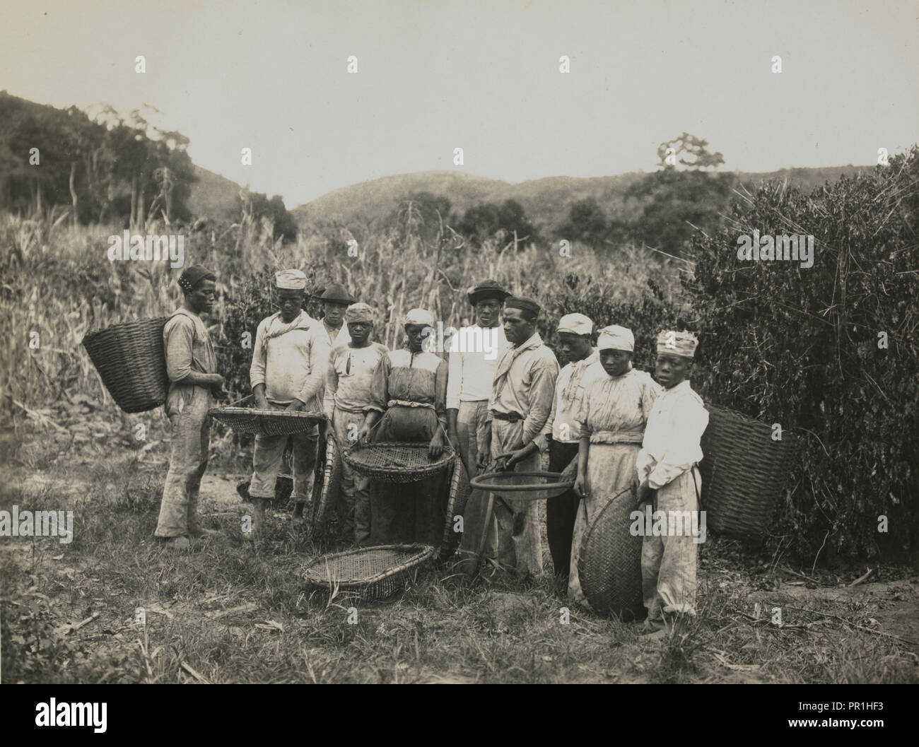 Coffee plantation workers, photograph of Brazil