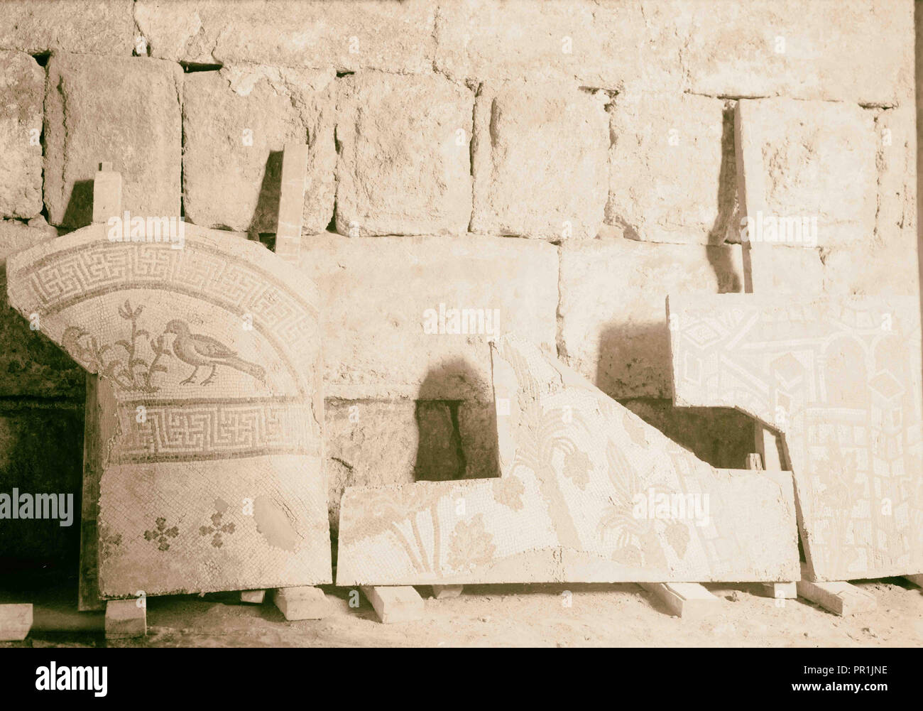 Ruins of Jerash (Gerasa). Jerash mosaic. Section showing fruiting palm trees and birds. 1920, Jordan, Gerasa, Extinct city Stock Photo