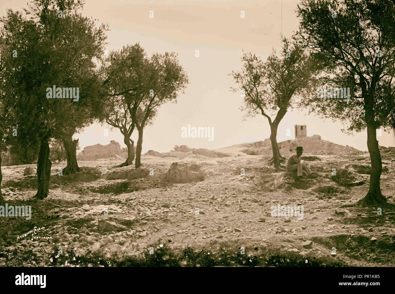 Ash heaps hires stock photography and images Alamy