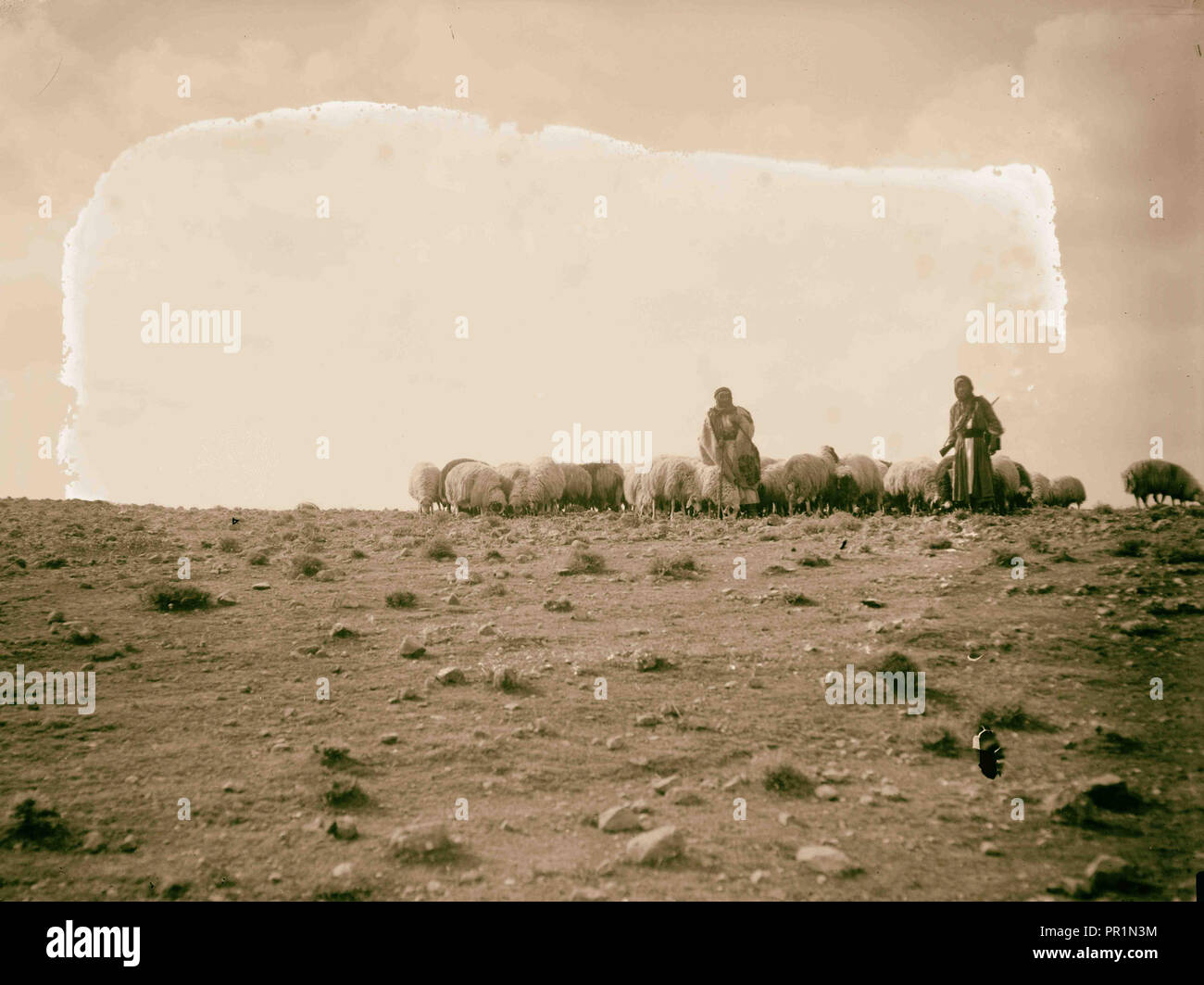 Beduin, Bedouin shepherds 1898, The Bedouin are nomadic Arab peoples