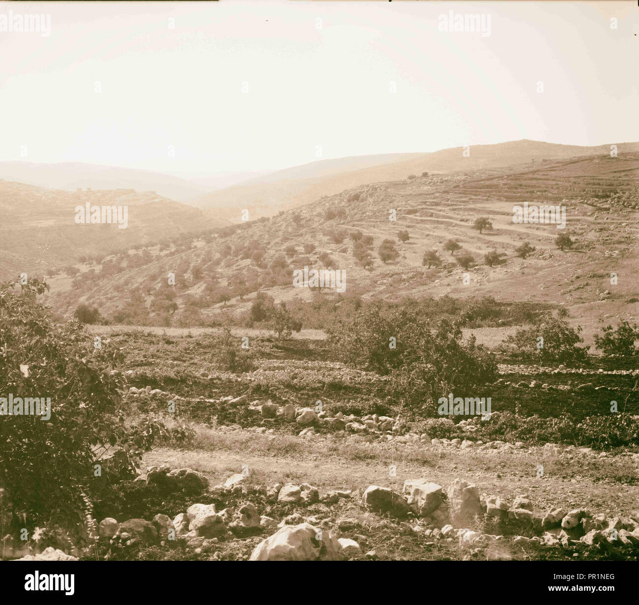 Ain karem hires stock photography and images Alamy