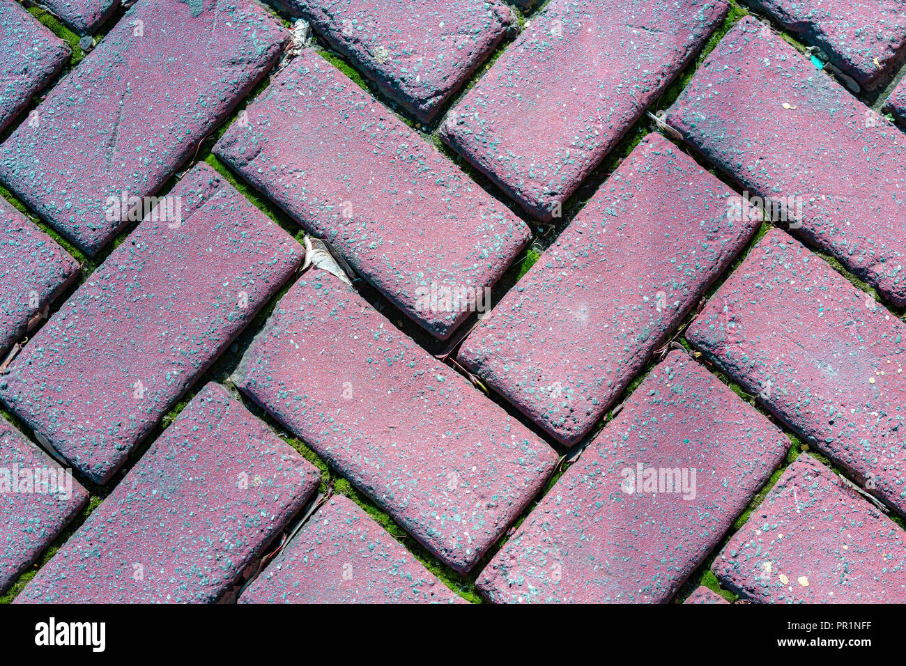 Pavers seamless texture hi-res stock photography and images - Alamy