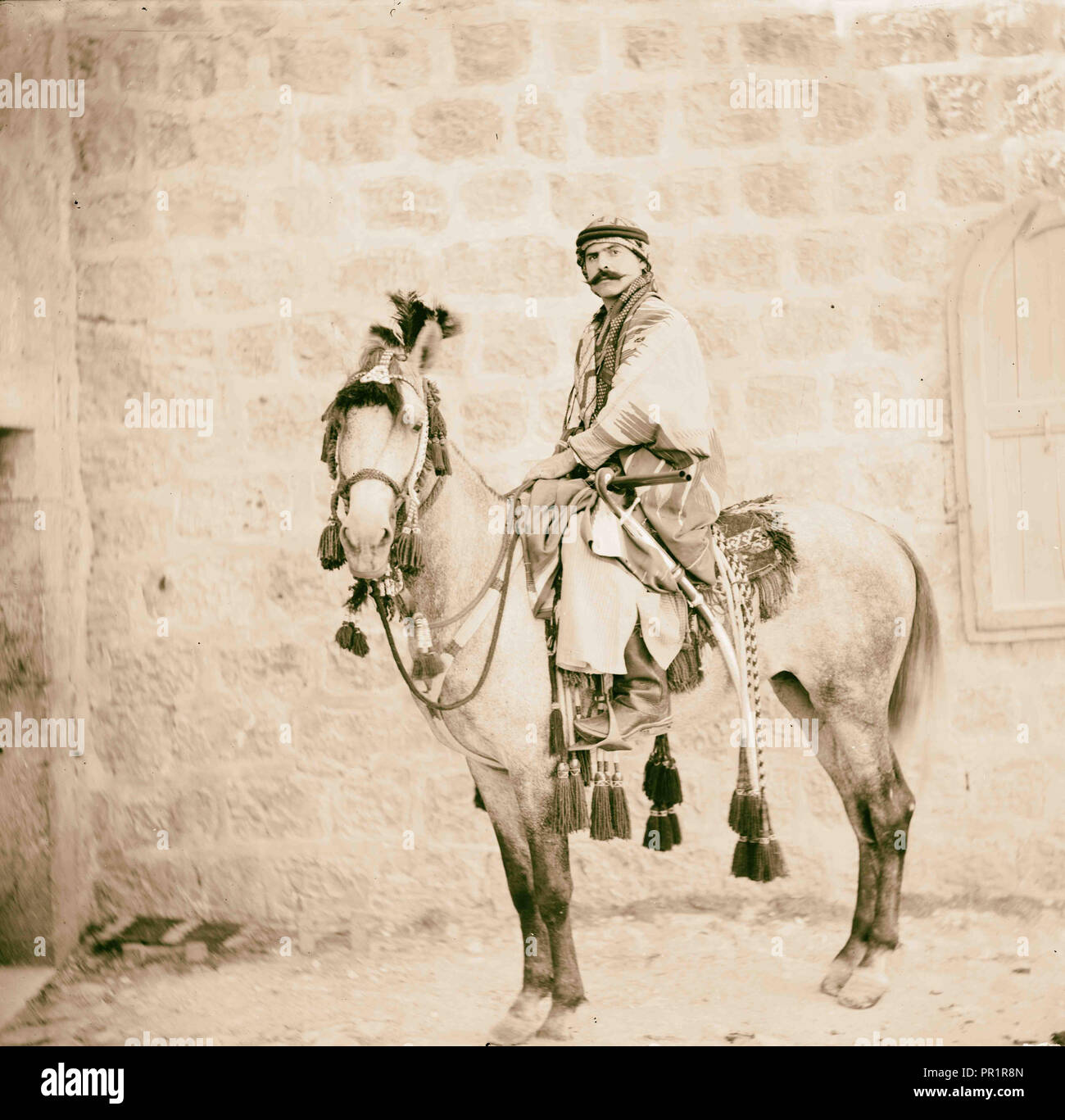 American Bedouin