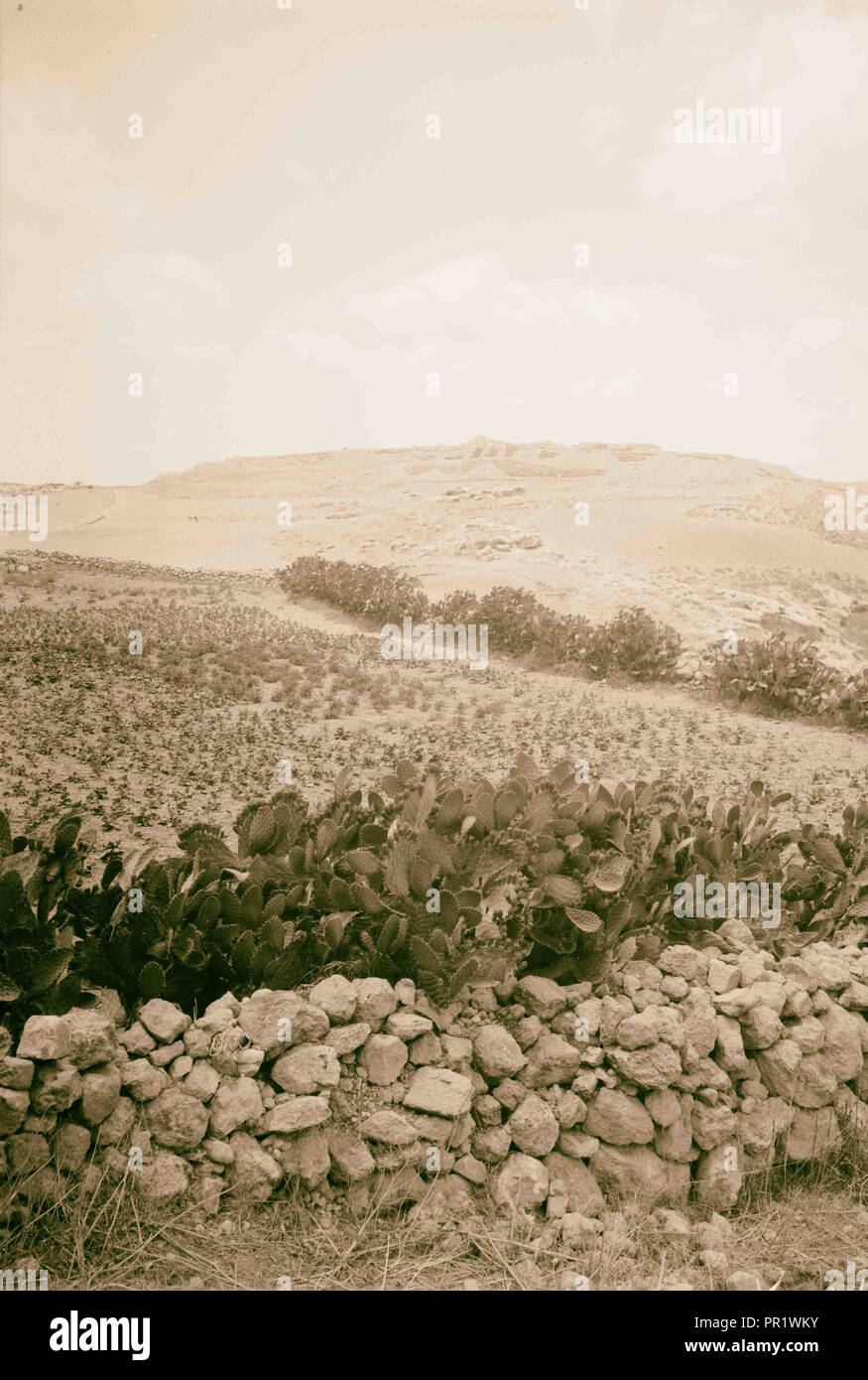 Tell Beit Mirsim. 1926, Israel, Debir, Extinct city Stock Photo Alamy